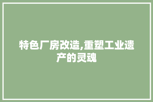 特色厂房改造,重塑工业遗产的灵魂