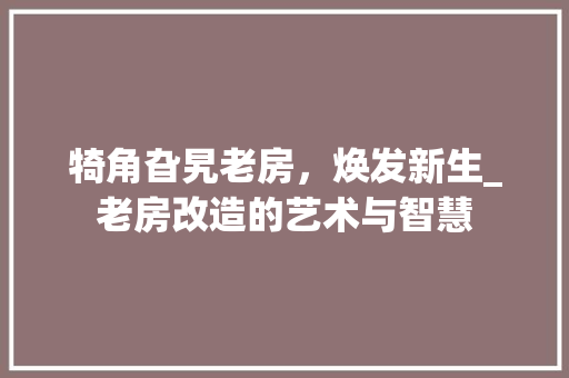 犄角旮旯老房，焕发新生_老房改造的艺术与智慧
