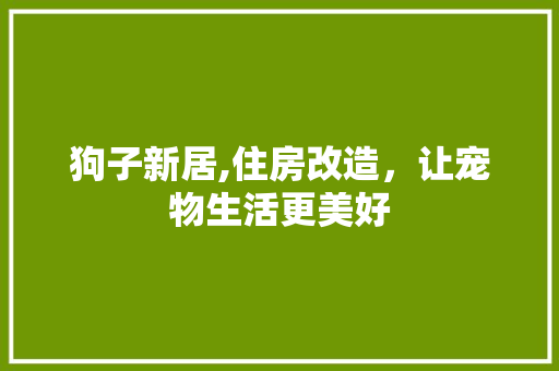 狗子新居,住房改造，让宠物生活更美好