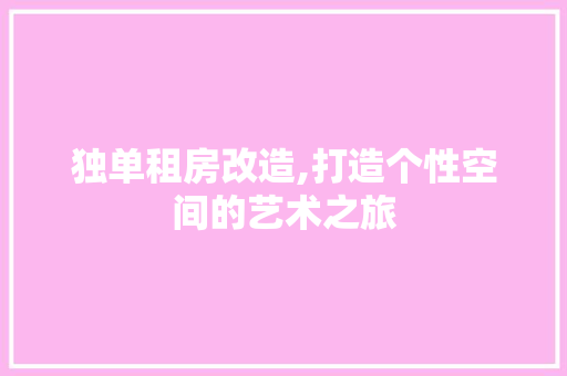 独单租房改造,打造个性空间的艺术之旅
