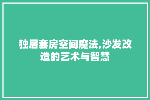 独居套房空间魔法,沙发改造的艺术与智慧