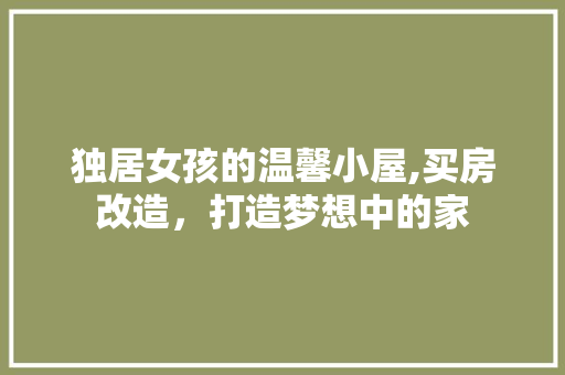 独居女孩的温馨小屋,买房改造，打造梦想中的家