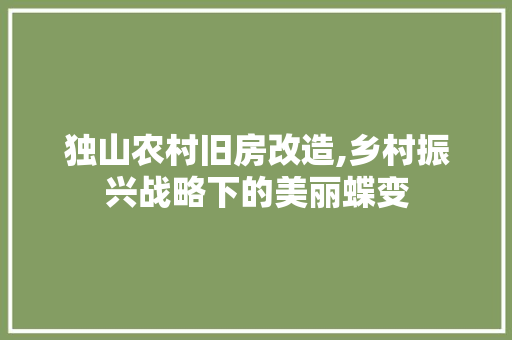 独山农村旧房改造,乡村振兴战略下的美丽蝶变