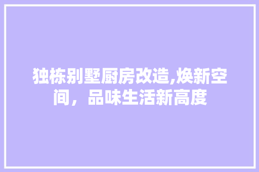 独栋别墅厨房改造,焕新空间，品味生活新高度 墙体维修