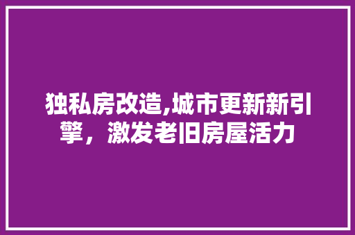 独私房改造,城市更新新引擎，激发老旧房屋活力
