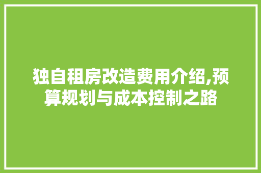 独自租房改造费用介绍,预算规划与成本控制之路 墙体维修