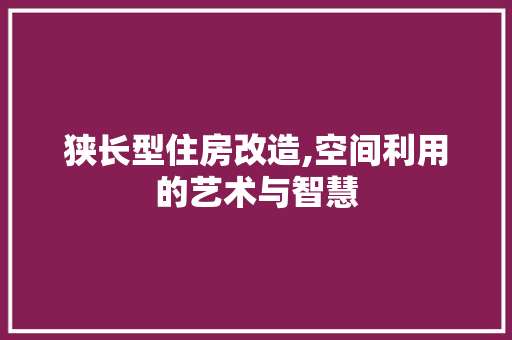 狭长型住房改造,空间利用的艺术与智慧 家电维修