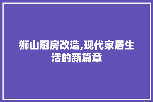 狮山厨房改造,现代家居生活的新篇章 家电维修