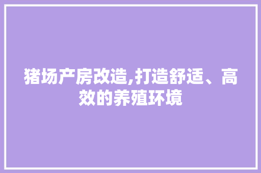 猪场产房改造,打造舒适、高效的养殖环境