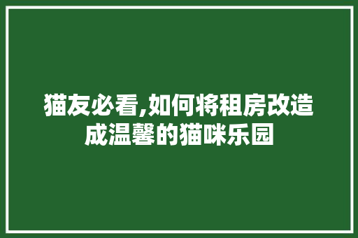 猫友必看,如何将租房改造成温馨的猫咪乐园
