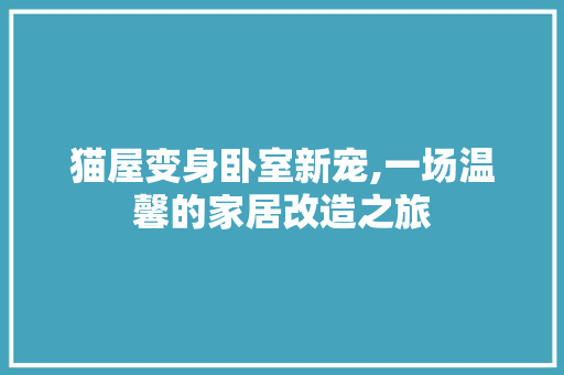 猫屋变身卧室新宠,一场温馨的家居改造之旅