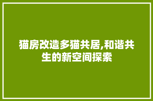 猫房改造多猫共居,和谐共生的新空间探索