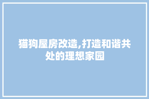猫狗屋房改造,打造和谐共处的理想家园 家电维修