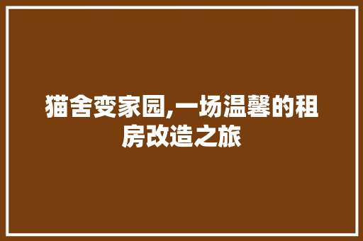 猫舍变家园,一场温馨的租房改造之旅