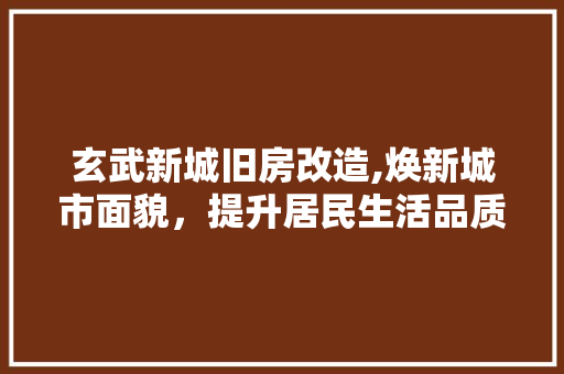 玄武新城旧房改造,焕新城市面貌，提升居民生活品质