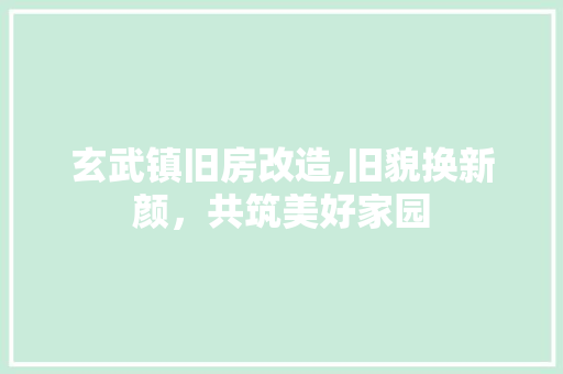 玄武镇旧房改造,旧貌换新颜，共筑美好家园