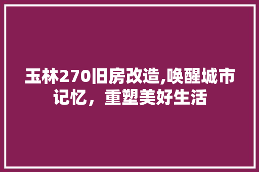 玉林270旧房改造,唤醒城市记忆，重塑美好生活