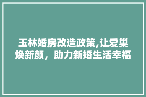 玉林婚房改造政策,让爱巢焕新颜，助力新婚生活幸福启航