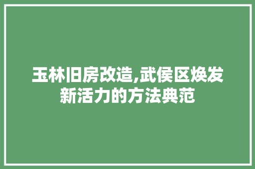 玉林旧房改造,武侯区焕发新活力的方法典范