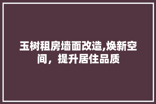 玉树租房墙面改造,焕新空间，提升居住品质