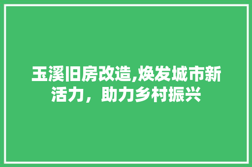玉溪旧房改造,焕发城市新活力，助力乡村振兴