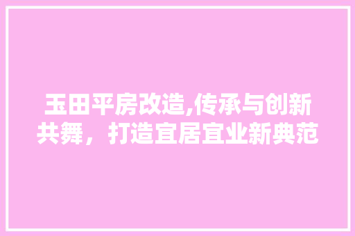 玉田平房改造,传承与创新共舞，打造宜居宜业新典范