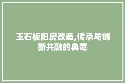 玉石板旧房改造,传承与创新共融的典范
