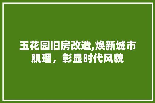 玉花园旧房改造,焕新城市肌理，彰显时代风貌