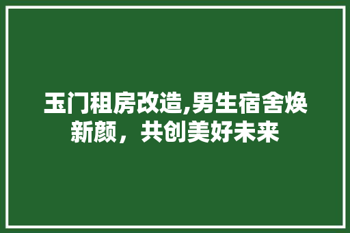 玉门租房改造,男生宿舍焕新颜，共创美好未来