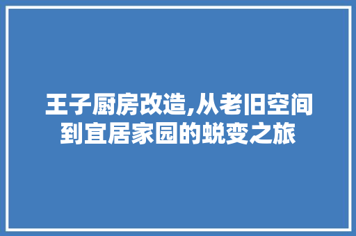 王子厨房改造,从老旧空间到宜居家园的蜕变之旅