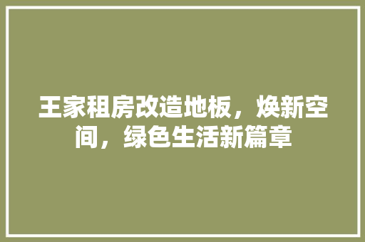 王家租房改造地板，焕新空间，绿色生活新篇章