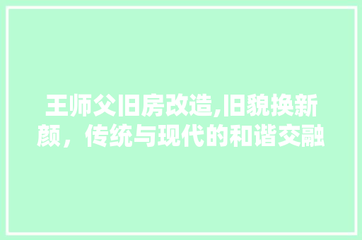 王师父旧房改造,旧貌换新颜，传统与现代的和谐交融