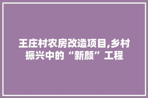 王庄村农房改造项目,乡村振兴中的“新颜”工程