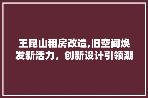 王昆山租房改造,旧空间焕发新活力，创新设计引领潮流