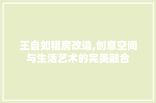 王自如租房改造,创意空间与生活艺术的完美融合