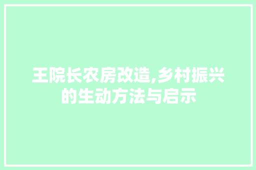 王院长农房改造,乡村振兴的生动方法与启示