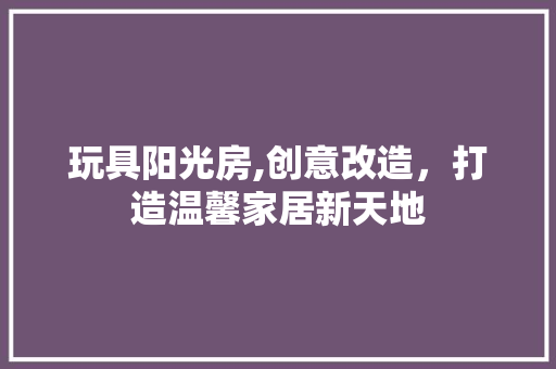玩具阳光房,创意改造，打造温馨家居新天地