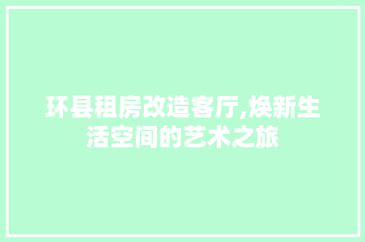 环县租房改造客厅,焕新生活空间的艺术之旅