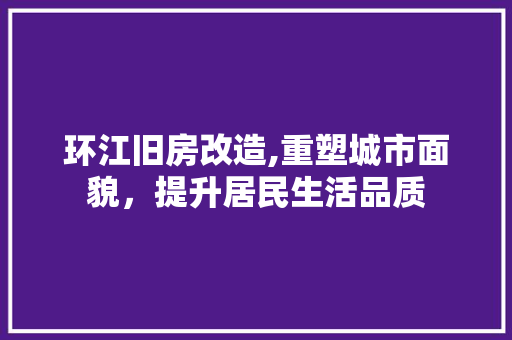 环江旧房改造,重塑城市面貌，提升居民生活品质