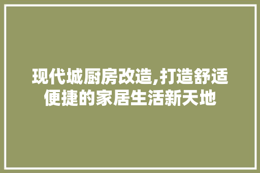 现代城厨房改造,打造舒适便捷的家居生活新天地
