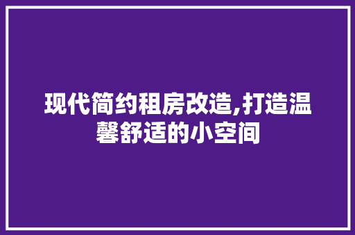现代简约租房改造,打造温馨舒适的小空间