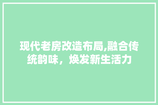 现代老房改造布局,融合传统韵味，焕发新生活力