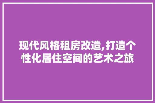 现代风格租房改造,打造个性化居住空间的艺术之旅