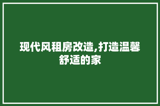 现代风租房改造,打造温馨舒适的家