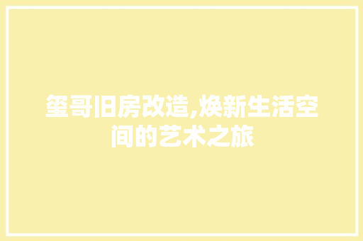 玺哥旧房改造,焕新生活空间的艺术之旅