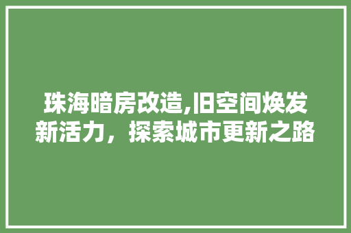 珠海暗房改造,旧空间焕发新活力，探索城市更新之路
