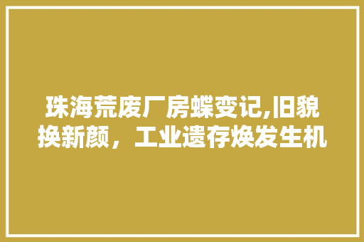 珠海荒废厂房蝶变记,旧貌换新颜，工业遗存焕发生机