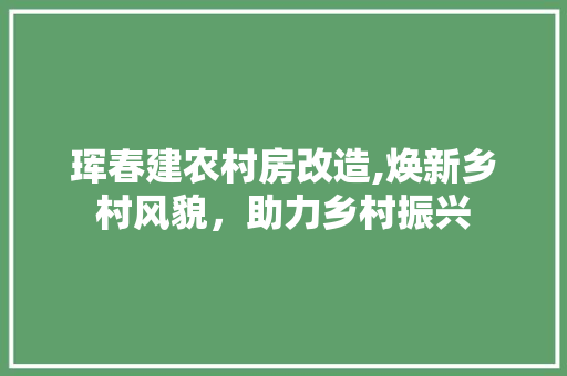 珲春建农村房改造,焕新乡村风貌，助力乡村振兴