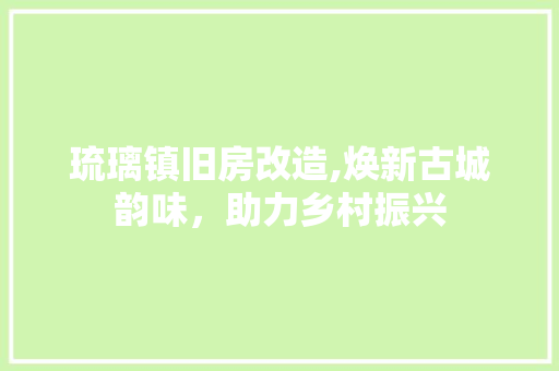 琉璃镇旧房改造,焕新古城韵味，助力乡村振兴