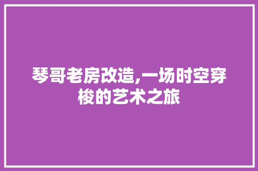 琴哥老房改造,一场时空穿梭的艺术之旅
